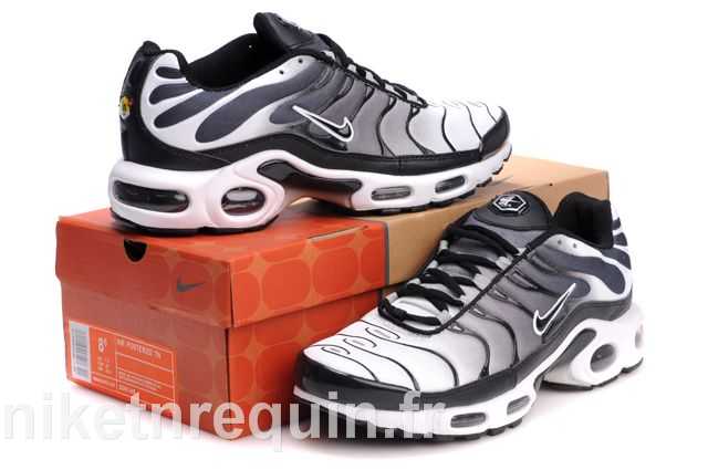 nike tn 2010 meilleurs populaires grise (1).JPG